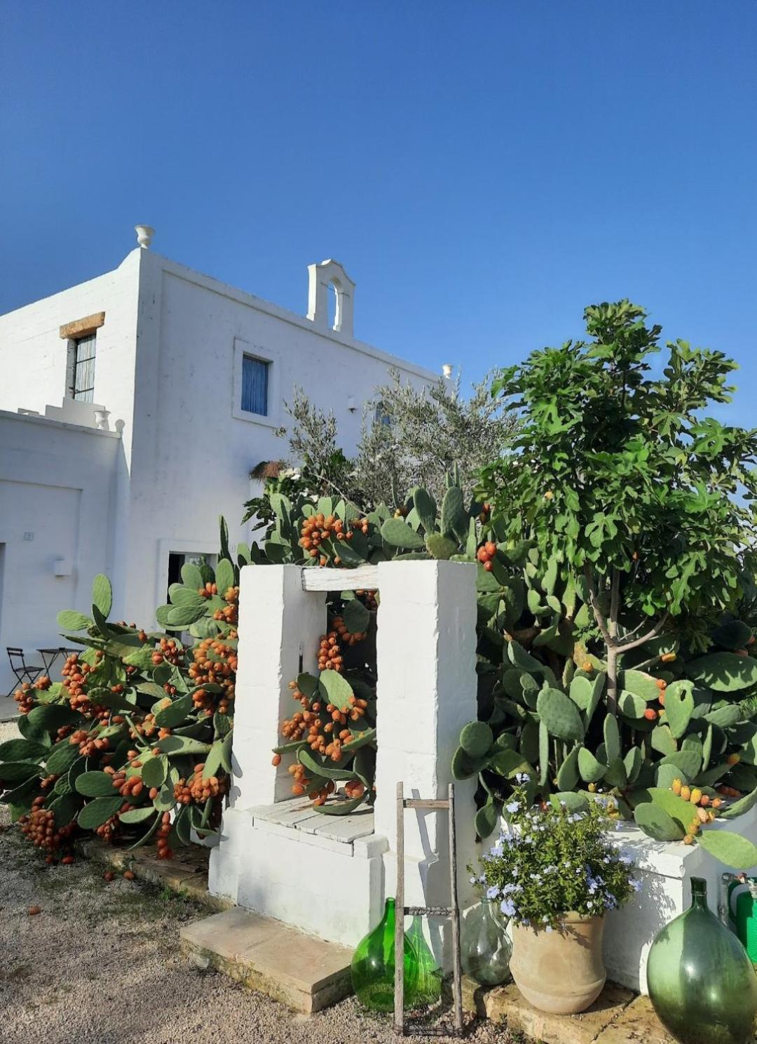 גלטונה Masseria Fulcignano מראה חיצוני תמונה