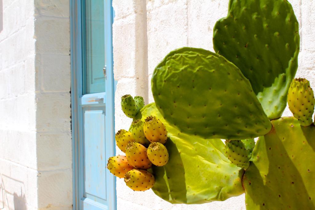 גלטונה Masseria Fulcignano מראה חיצוני תמונה