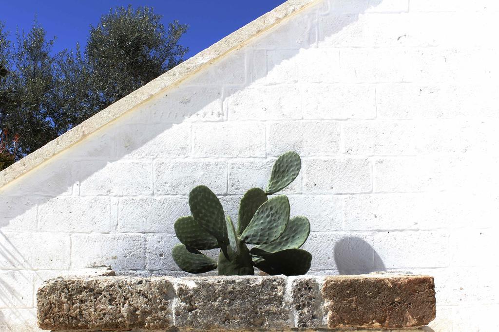 גלטונה Masseria Fulcignano מראה חיצוני תמונה